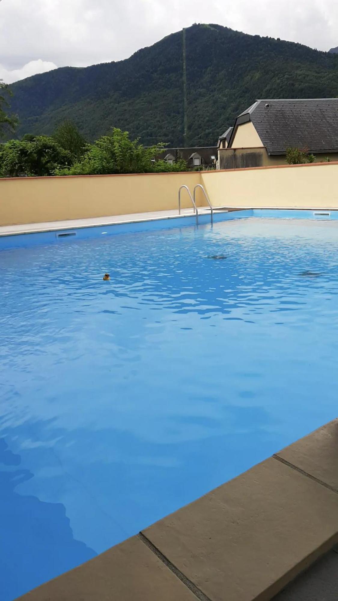 Appart T 3 Bagneres-De-Luchon Vue Montagne - Piscine Mi Juin Buitenkant foto